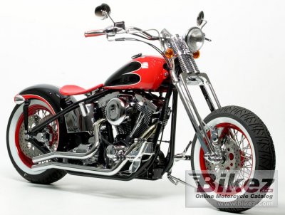 2011 Covingtons Beach Cruiser photo